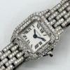 Cartier Panthere De Cartier Mini Custom