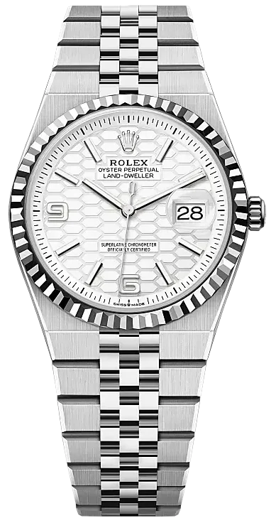 Rolex Land-Dweller 36mm Steel and White Gold