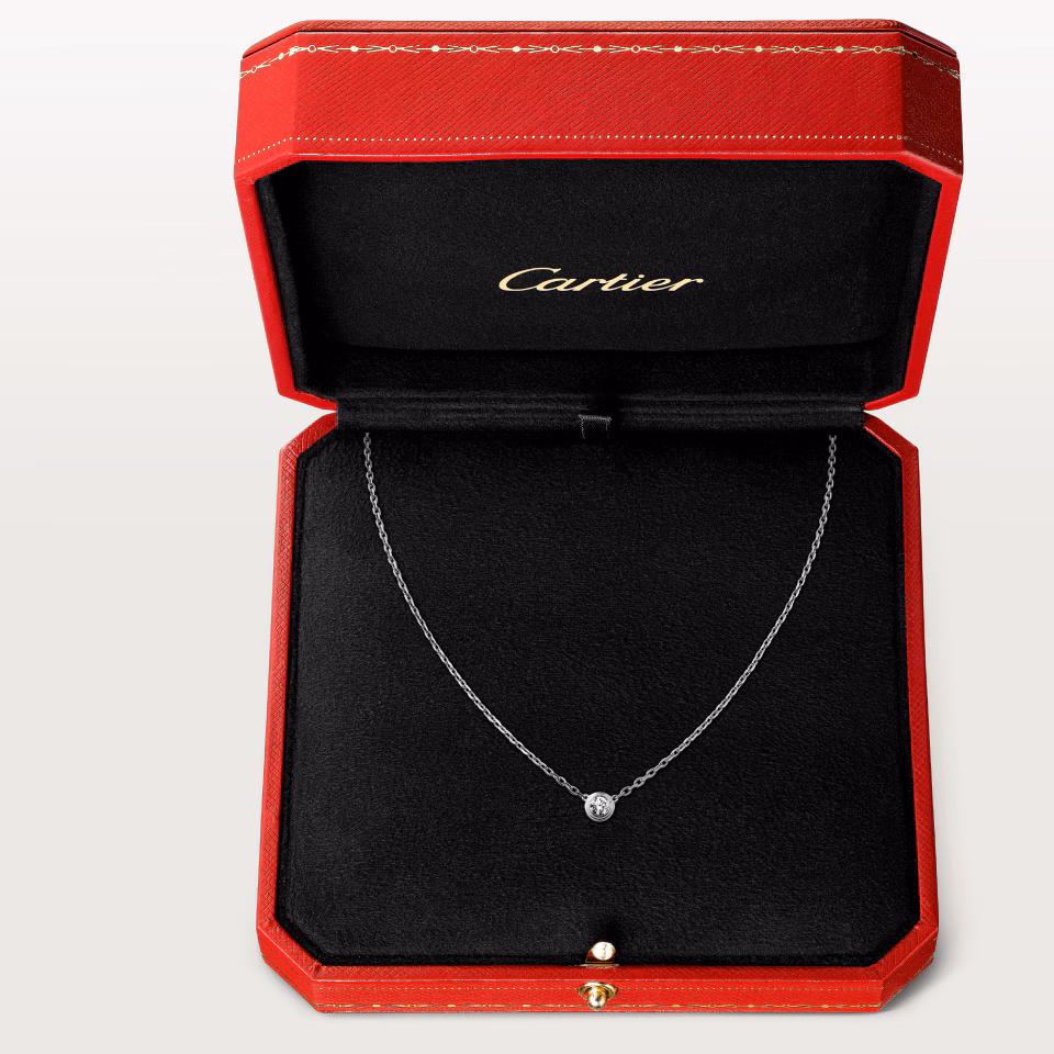 Silver necklace with a small round pendant displayed in a black velvet Cartier jewelry box inside a red presentation case.